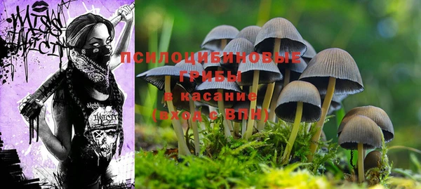 стафф Баксан