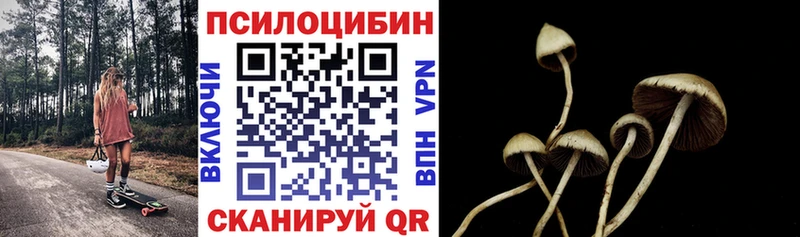 купить наркоту  ОМГ ОМГ сайт  Галлюциногенные грибы ЛСД  Купино 